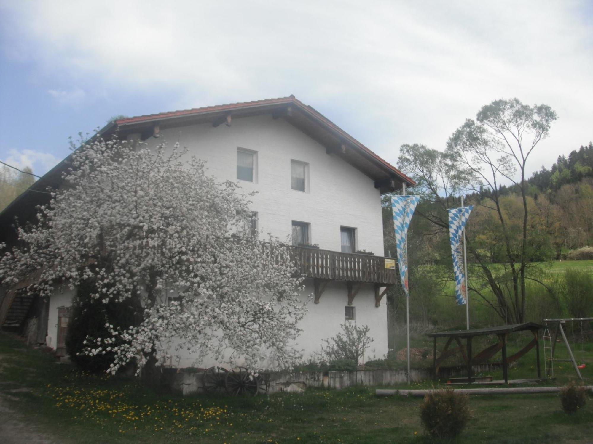 Gasthaus Zehrermuehle Schönberg Eksteriør billede