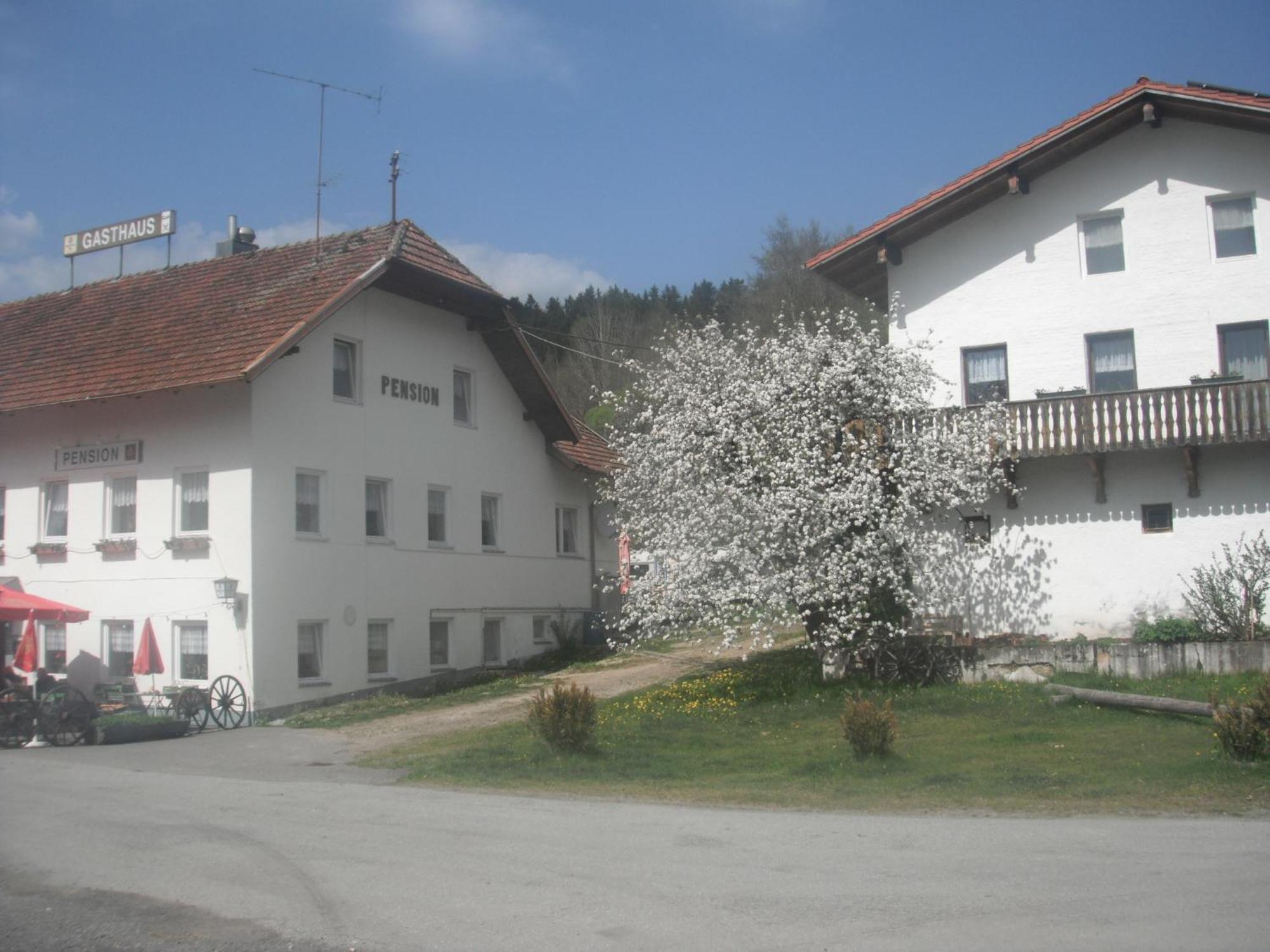 Gasthaus Zehrermuehle Schönberg Eksteriør billede